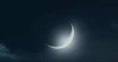 Illustration inc - Image 1