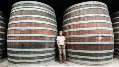 Illustration tuns - Image 1