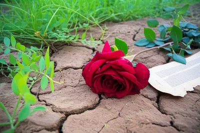 Illustration lapse - Image 1