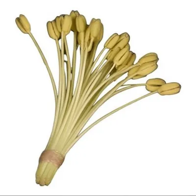 Illustration phalange - Image 1