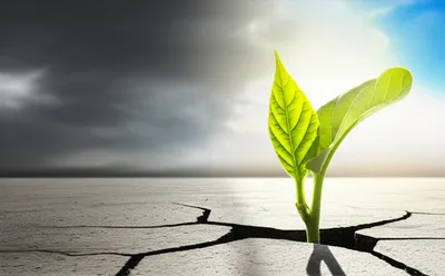 Illustration survivors