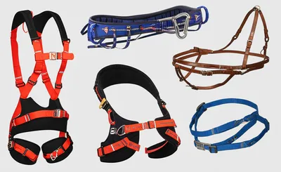 Illustration harnesses - Image 1