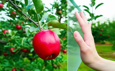 Illustration refrains - Image 1