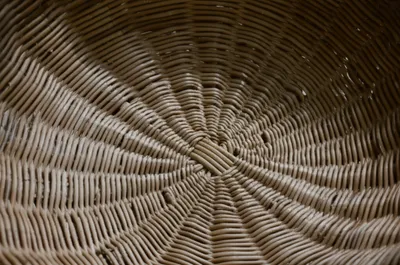 Illustration bassinet - Image 1