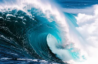 Illustration combs - Image 1