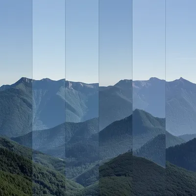 Illustration unchanged - Image 1