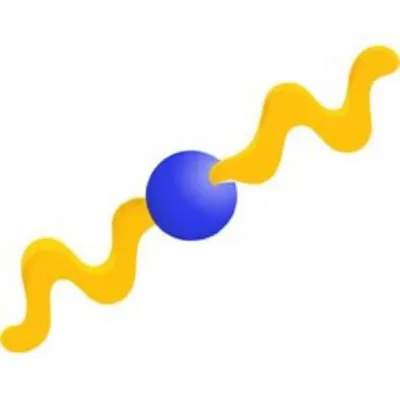 Illustration glycerides