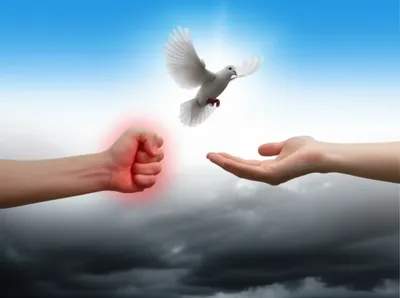 Illustration sheathing - Image 1