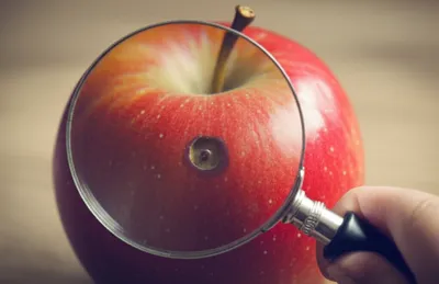 Illustration criticisms