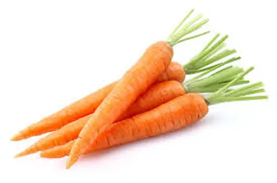 Illustration carrot - Image 2