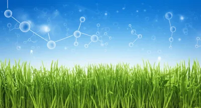 Illustration azo - Image 1