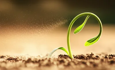 Illustration elastic - Image 1