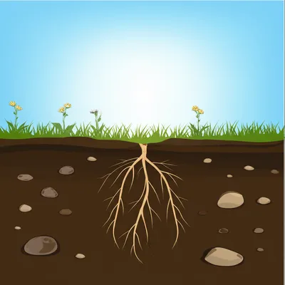 Illustration underground - Image 1