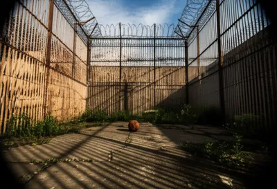 Illustration mows - Image 1