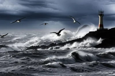 Illustration storms - Image 1