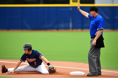 Illustration umpire - Image 1