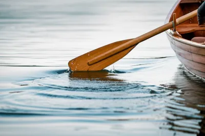 Illustration scull - Image 1