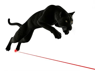 Illustration pounce - Image 1