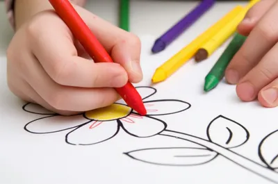 Illustration colored - Image 1