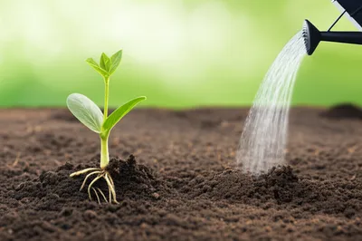 Illustration needs - Image 1