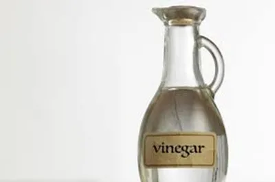 Illustration vinegar - Image 2