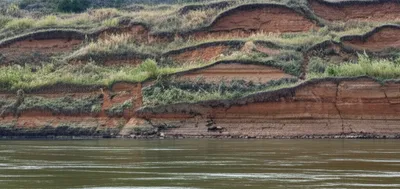 Illustration shelving - Image 1