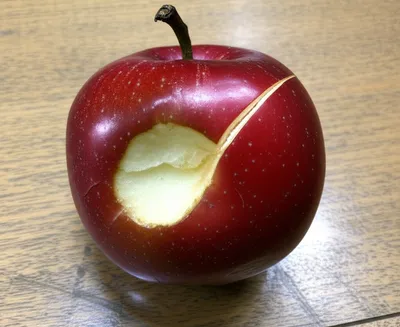 Illustration impacted - Image 1