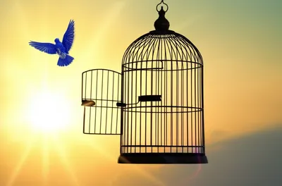 Illustration escaping - Image 1