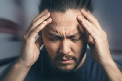 Illustration galea - Image 1