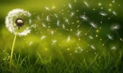 Illustration disseminated - Image 1