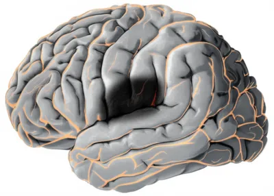 Illustration penumbra - Image 1