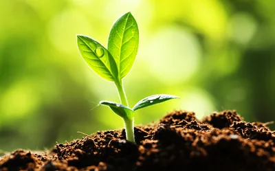 Illustration imp - Image 1