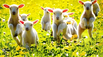 Illustration capered - Image 1