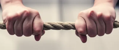 Illustration brace - Image 1