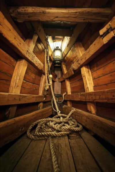 Illustration peas - Image 1