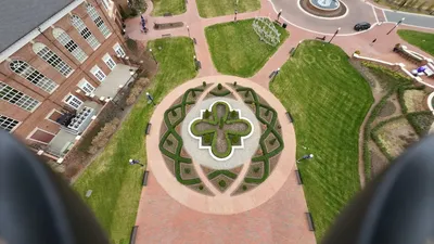 Illustration parterre - Image 2