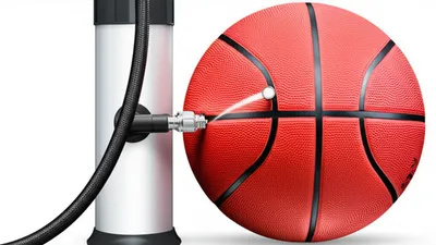 Illustration plumper - Image 1