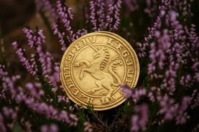 Illustration unicorn - Image 1