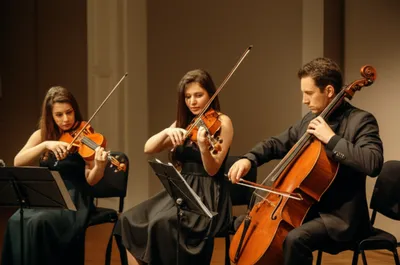 Illustration consorts - Image 1