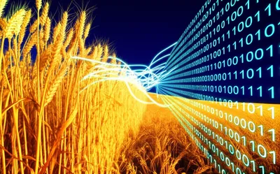 Illustration computerisation