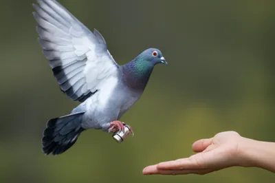 Illustration returns - Image 1