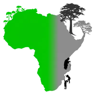 Illustration graying - Image 1