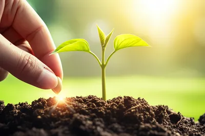 Illustration signify - Image 1