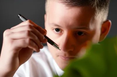 Illustration note - Image 1