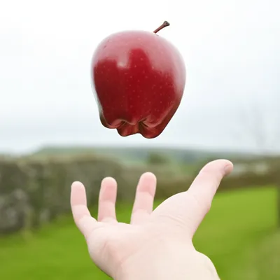 Illustration tosses - Image 1