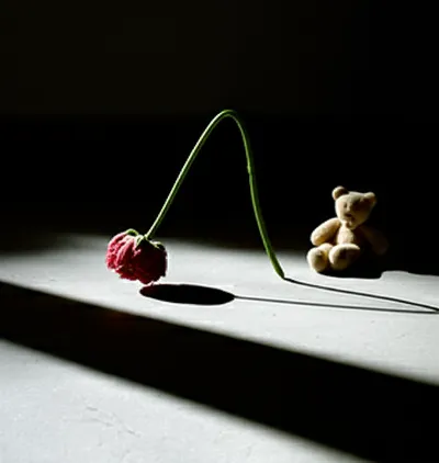 Illustration alas - Image 1