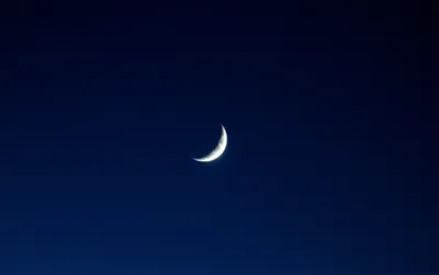 Illustration crescent - Image 1