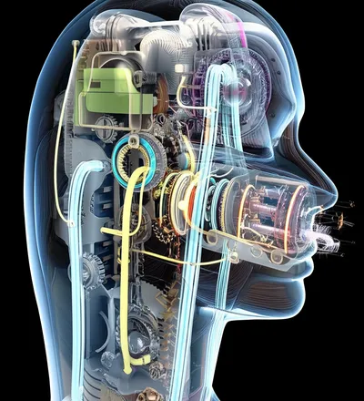 Illustration innards - Image 1