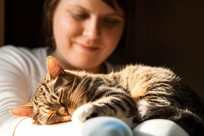 Illustration soothed - Image 1