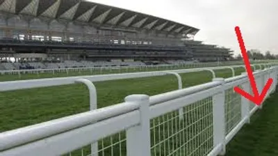 Illustration outer - Image 4